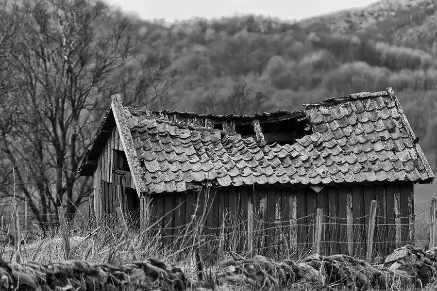 Experienced Shed Removal Hackensack, NJ Experienced Shed Removal Hackensack, NJ