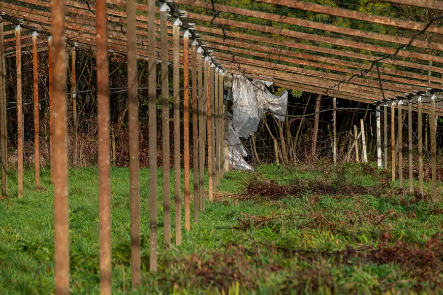 Why Shed Removal Improves Property Functionality Hackensack, NJ Why Shed Removal Improves Property Functionality Hackensack, NJ